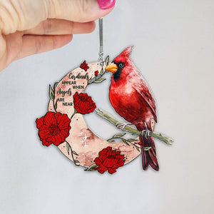 CARDINALS APPEAR WHEN ANGELS ARE NEAR - A BIG PIECE OF MY HEART LIVES IN HEAVEN