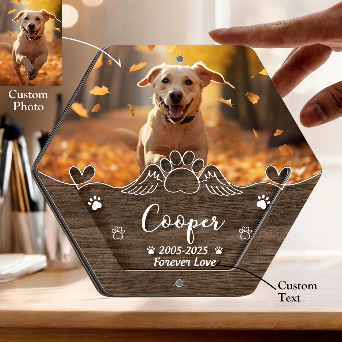 Custom Pet Hair Storage Box - Personalized Acrylic Box With Pet Picture