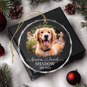 Personalized Memorial Dog Cat Forever Loved Circle Glass Ornament